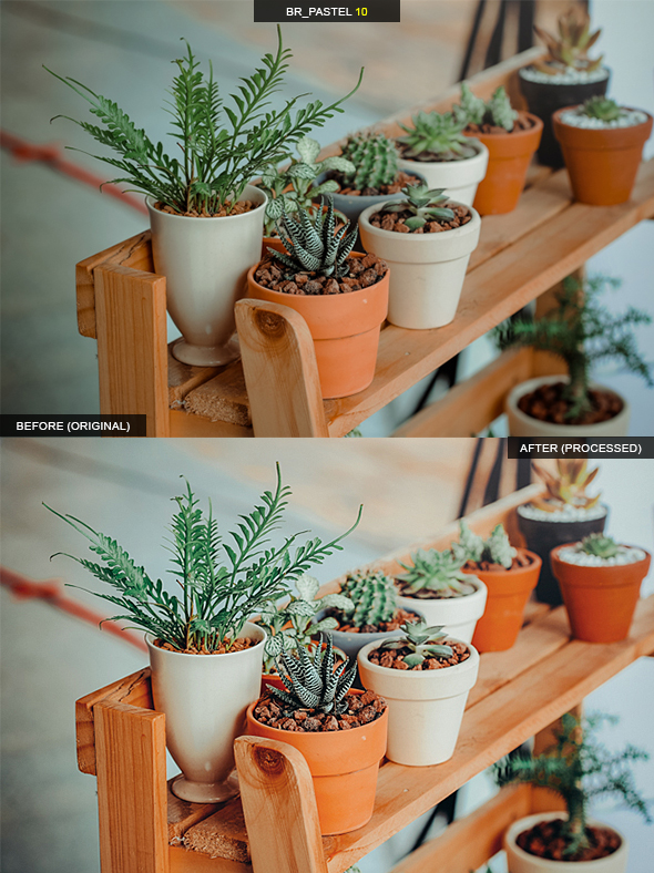 18 Pro Bright & Pastel Presets – 18 Preset làm đẹp ảnh chuyên nghiệp cho Lightroom