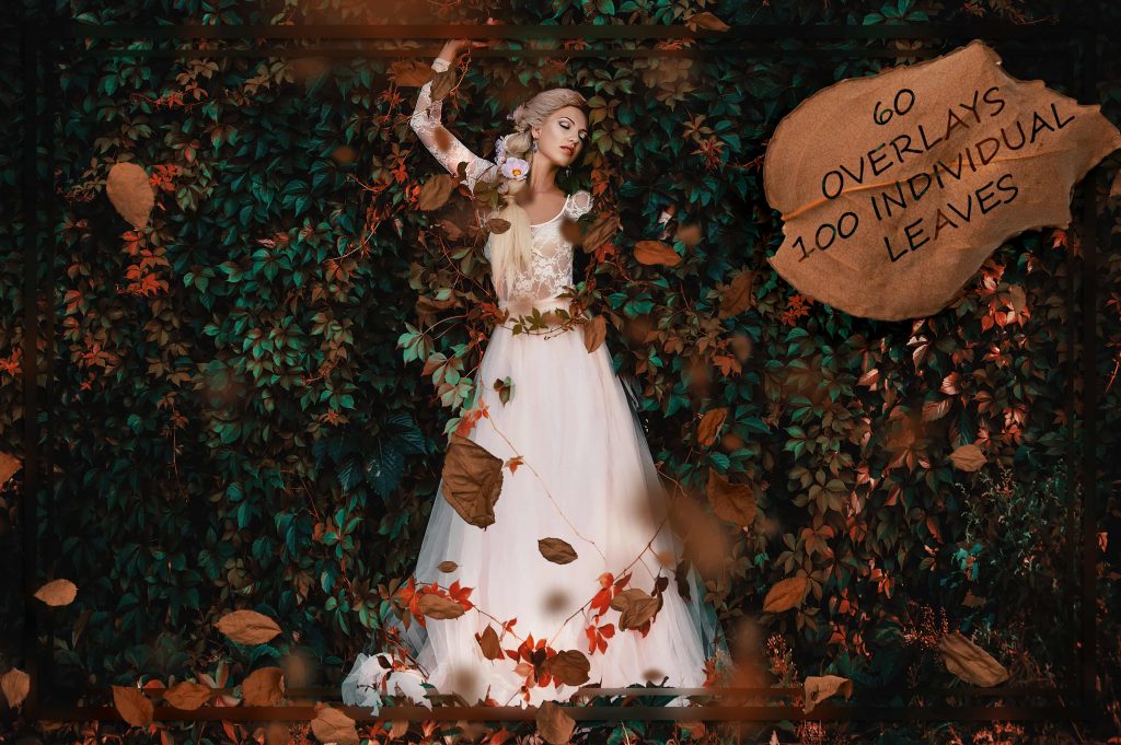 9000+ Overlays And Design Elements – Bộ stock Overlay khủng