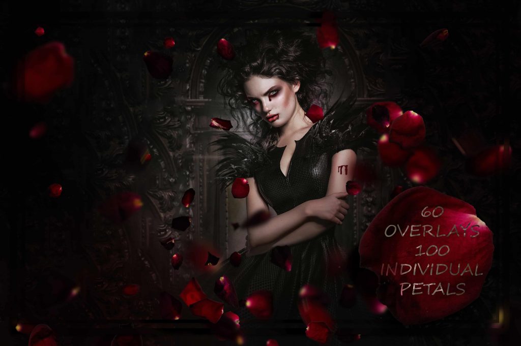 9000+ Overlays And Design Elements – Bộ stock Overlay khủng