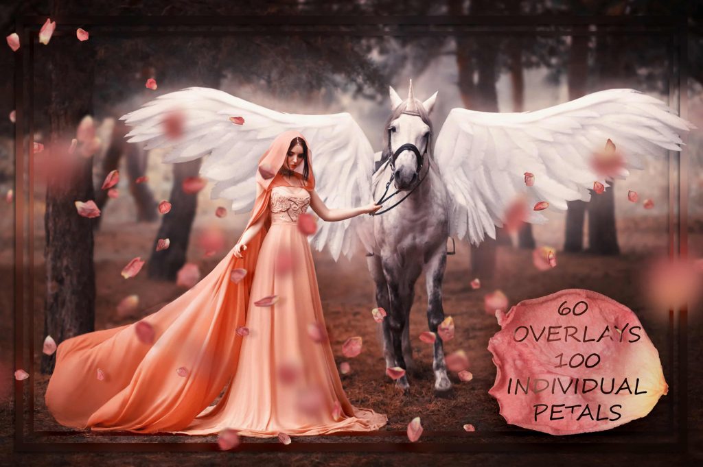 9000+ Overlays And Design Elements – Bộ stock Overlay khủng