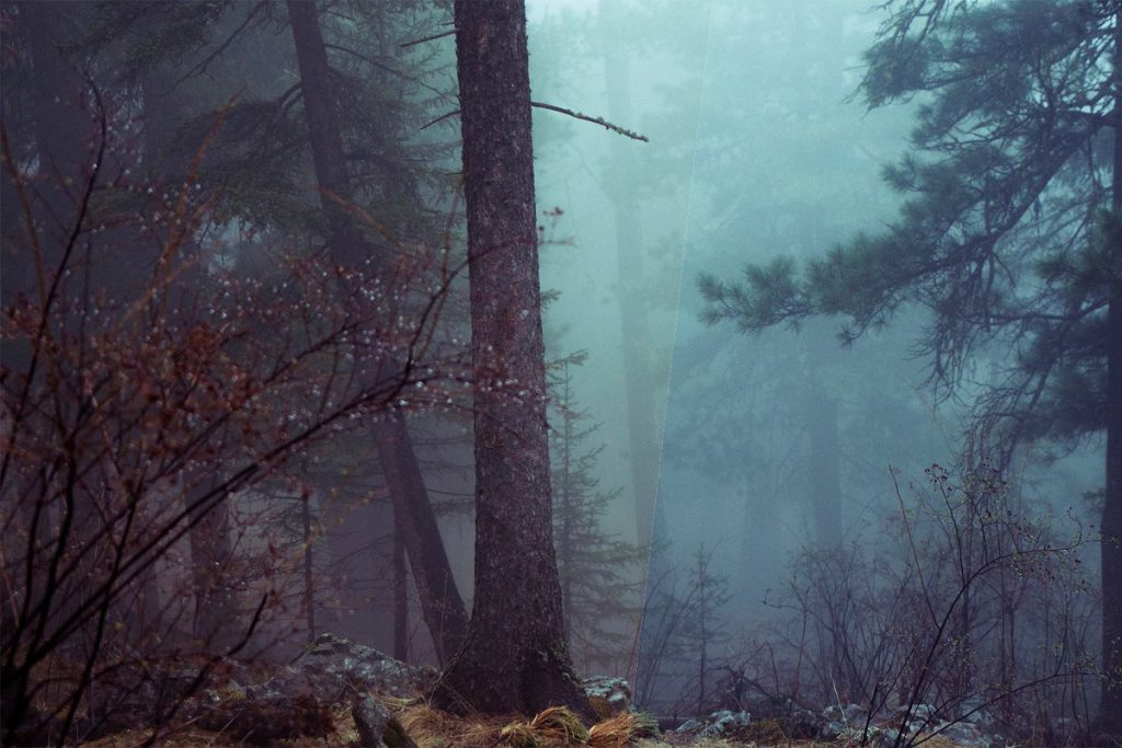 40 Modern Photoshop Actions – Bộ 40 Action tone màu đẹp