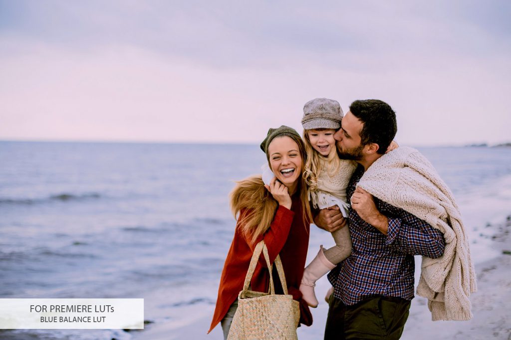 Premiere LUTs Collection – Bộ 20 Luts màu đẹp từ Creativemarket