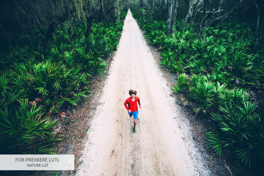 Premiere LUTs Collection – Bộ 20 Luts màu đẹp từ Creativemarket