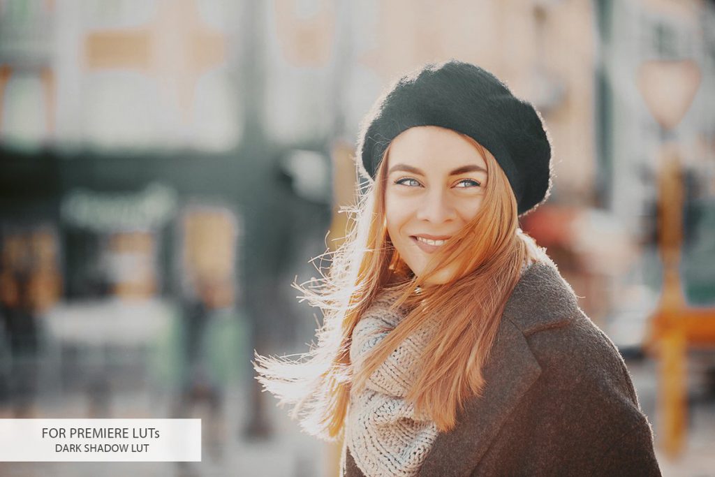 Premiere LUTs Collection – Bộ 20 Luts màu đẹp từ Creativemarket