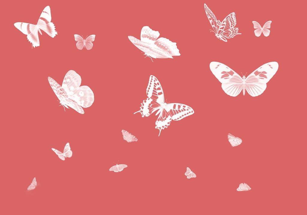 2500+ Professional Photoshop BRUSHES – Bộ Brush khủng từ TimeForDeals