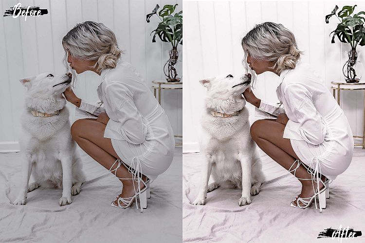 5 Instaland Mobile Lightroom Presets – Preset màu cho Lightroom Mobile