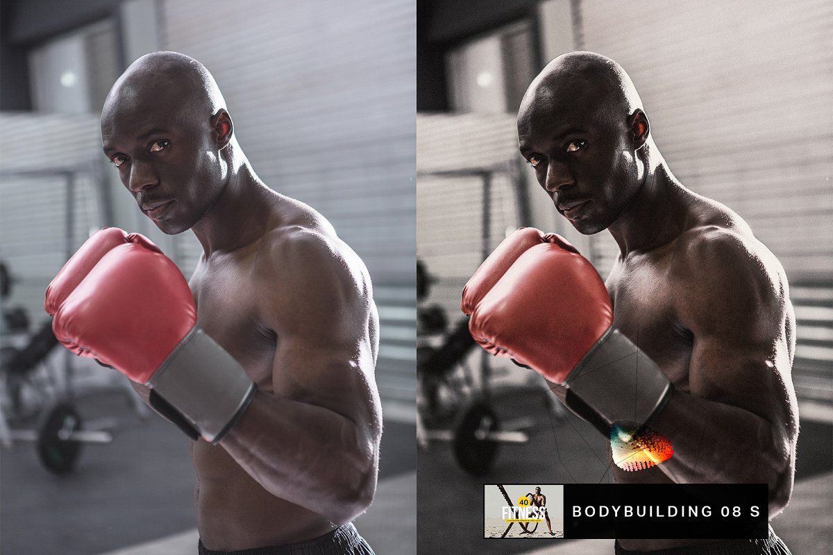 500+ Lightroom Presets & LUTs Bundle – Bộ sưu tập khủng hơn 500 Preset, LUTS chỉnh màu