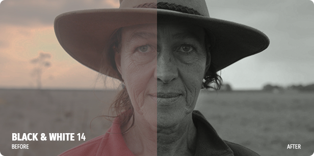 700 Film Looks – LUT Color Preset Pack – Bộ Luts đẹp từ Videohive