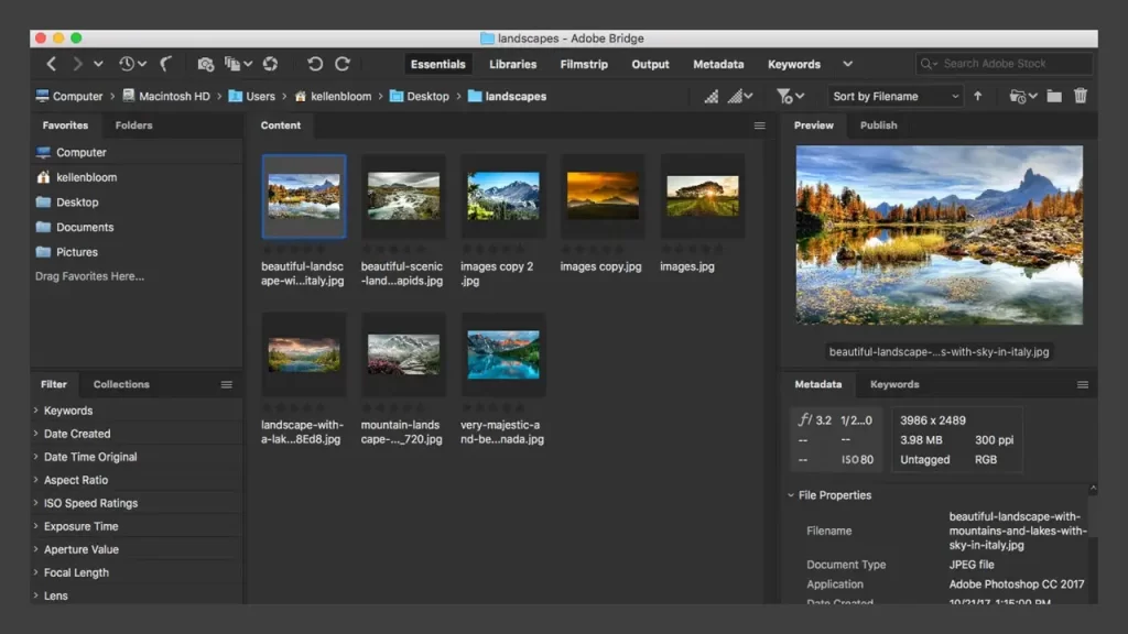 Adobe Bridge 2023 – Công cụ quản lý ảnh chuyên nghiệp
