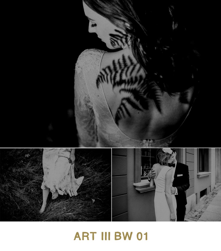 Vivid Presets – ART III COLLECTION – Bộ Preset màu giá 35$ [Lightroom]