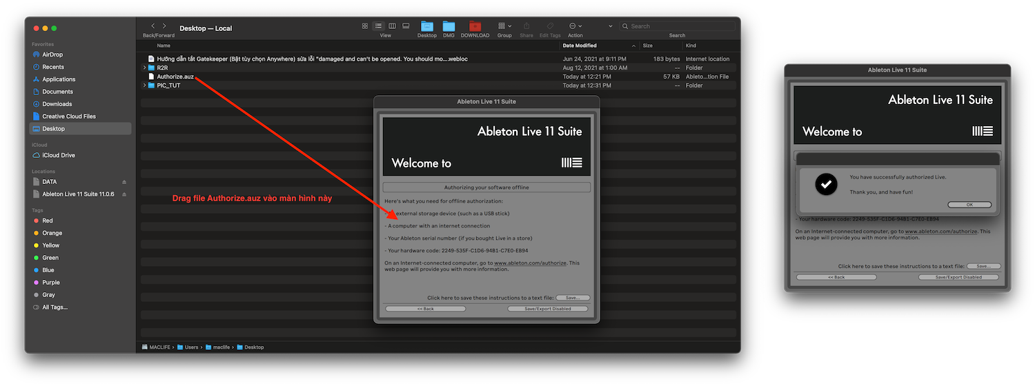 Ableton Live Suite 11 – Ứng dụng nhạc cụ ảo
