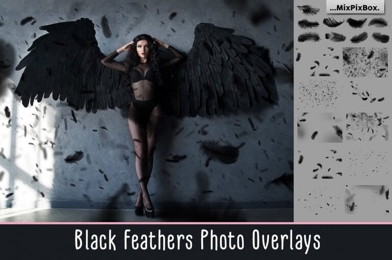 3900+ Photo Overlays – Bộ sưu tập hơn 3900 file Overlays nhiều chủ đề