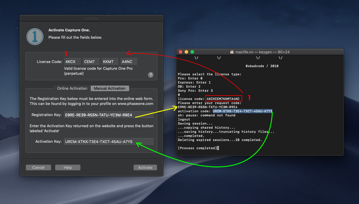 Capture One Pro 20, 21 – Công cụ chỉnh sửa ảnh cạnh tranh với Lightroom