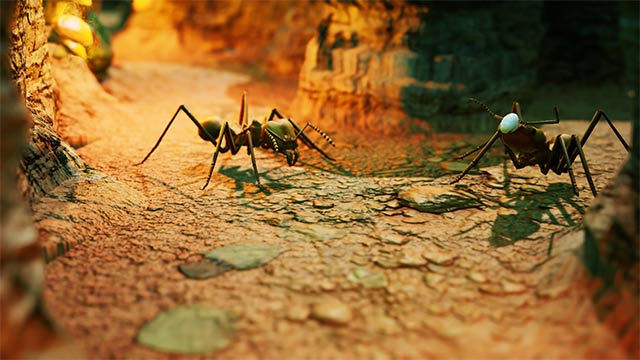 Empires of the Undergrowth – Cuộc chiến sinh tồn của đàn kiến