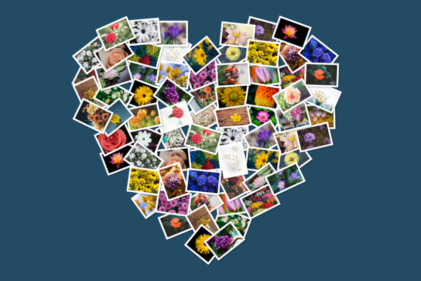 FigrCollage – Tạo hình lổng ghép độc đáo