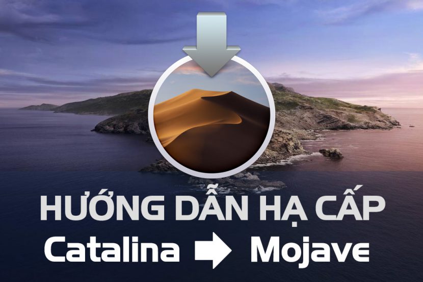 Hướng dẫn hạ cấp từ Catalina 10.15 xuống Mojave 10.14 hoặc các phiên bản macOS thấp hơn