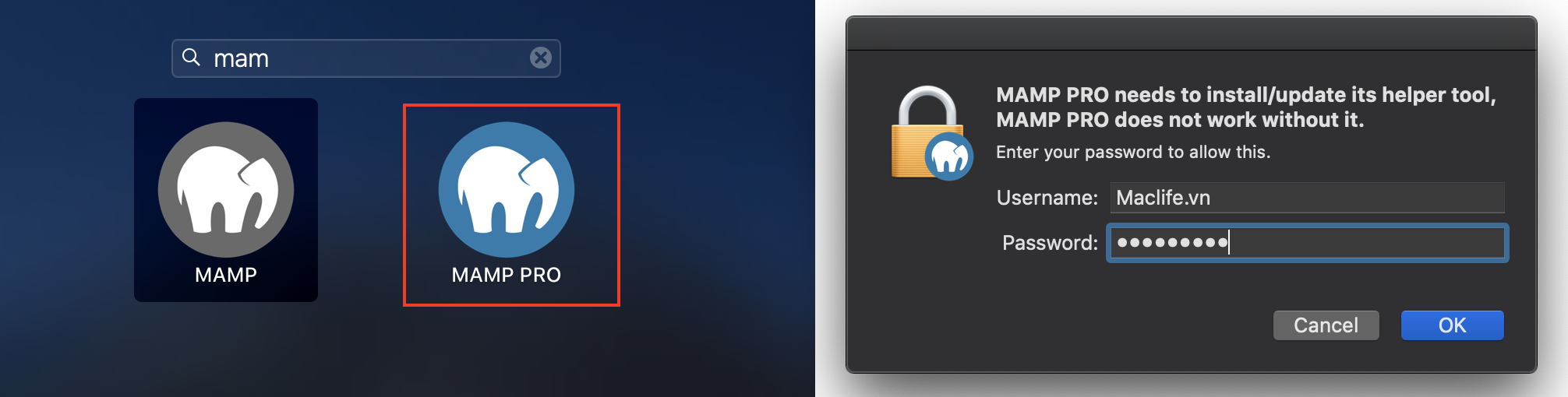 Hướng dẫn cài đặt và cấu hình Localhost trên Mac với Mamp Pro