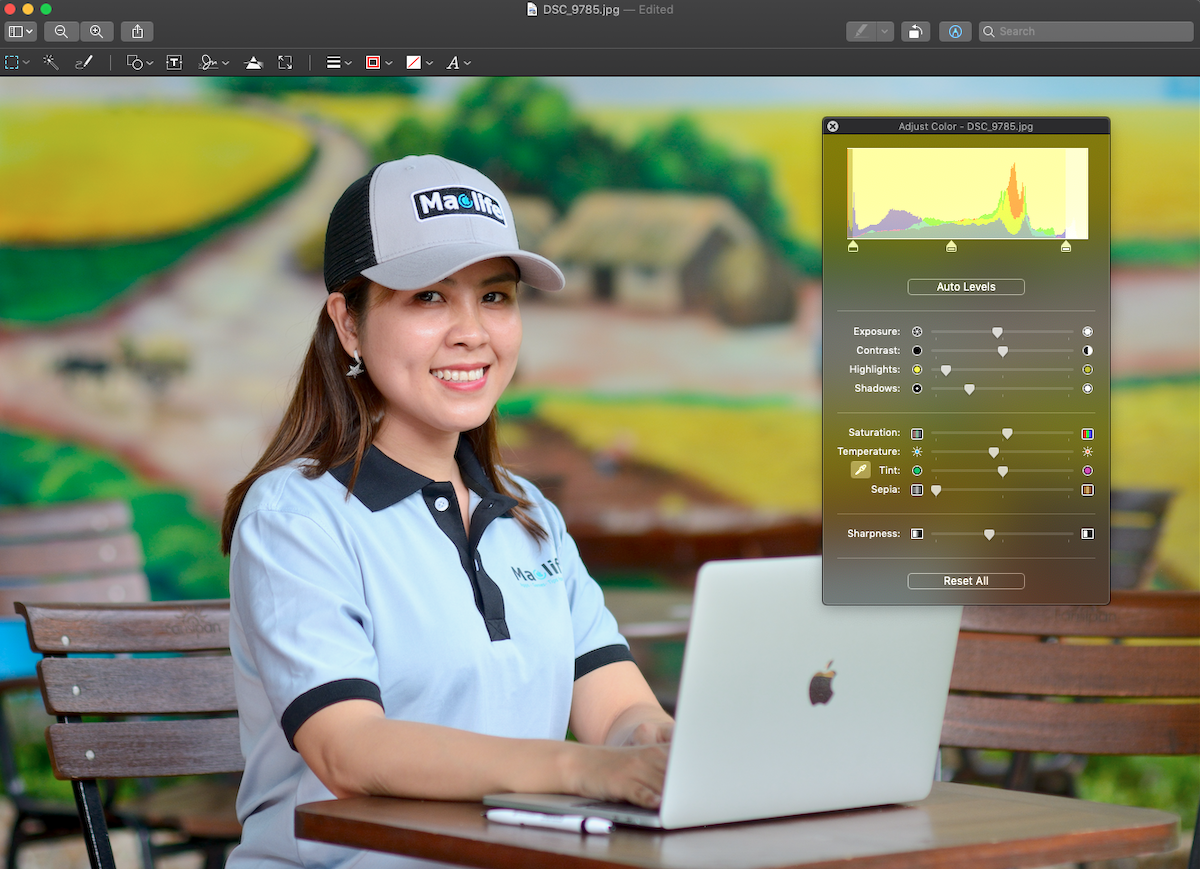 Hướng dẫn chỉnh sửa, tạo ghi chú cho ảnh với Preview
