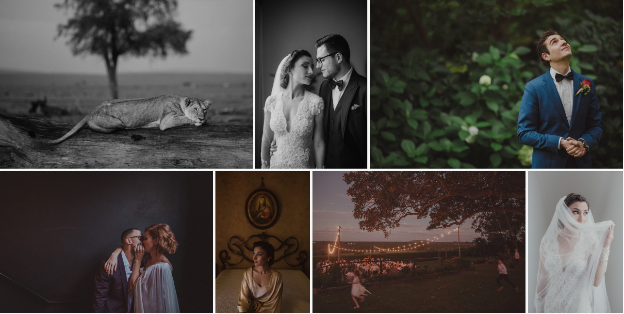 JONAS PETERSON Lightroom & ACR Presets – Preset màu đẹp chuyên nghiệp dành cho Lr