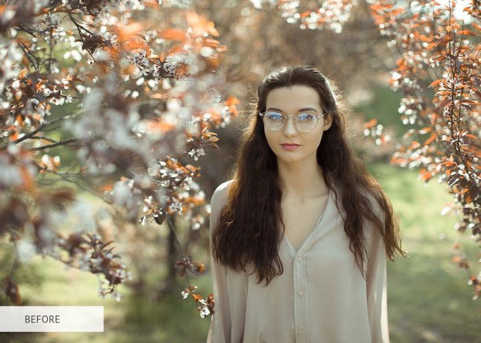 Light Flare Photoshop Overlays – 30 Light Flare Photoshop Overlays chất lượng cao