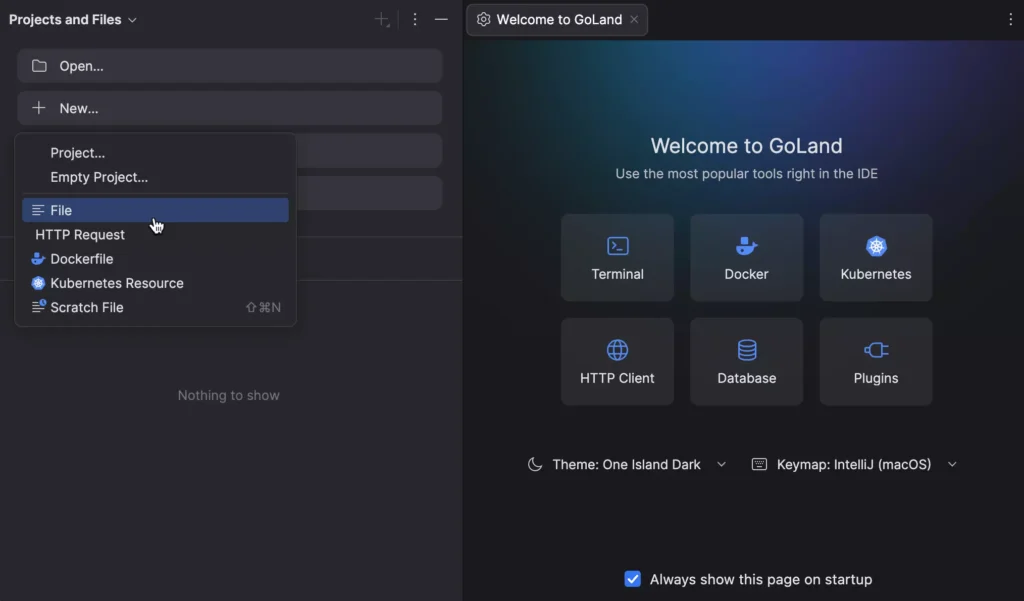 JetBrains GoLand 2025 – IDE mới cho phát triển Go