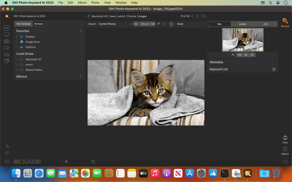 on1-photo-keyword-ai_02-1024x640-1 ON1 Photo Keyword AI 2023 – Công cụ tổ chức, quản lý ảnh, video sử dụng AI