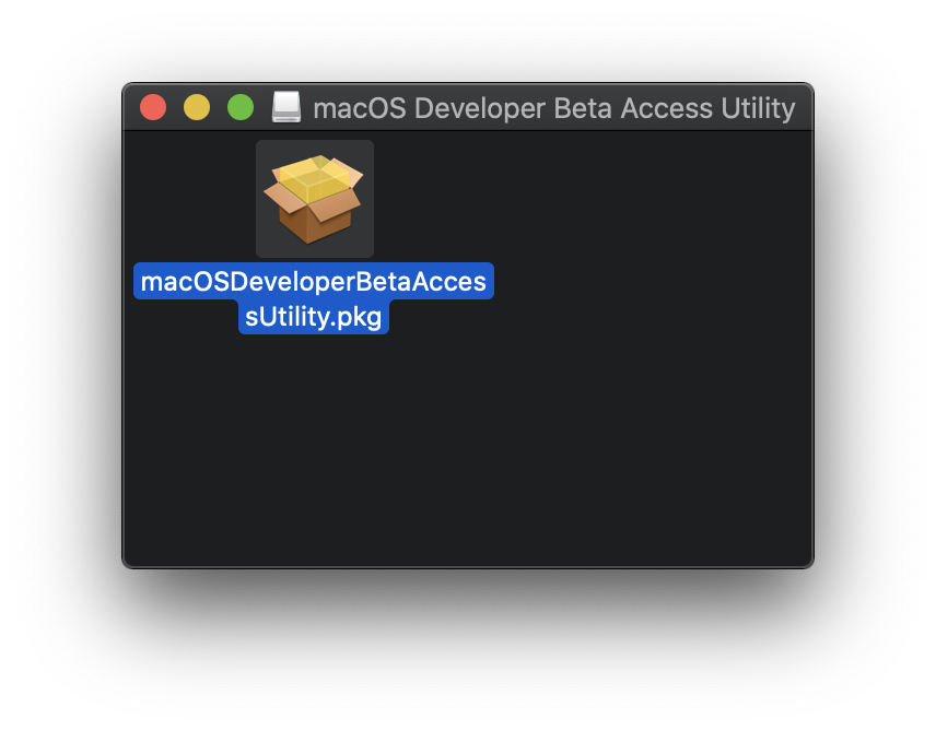 Profile update macOS 11 Big Sur, iPad OS, iOS 14 để trải nghiệm