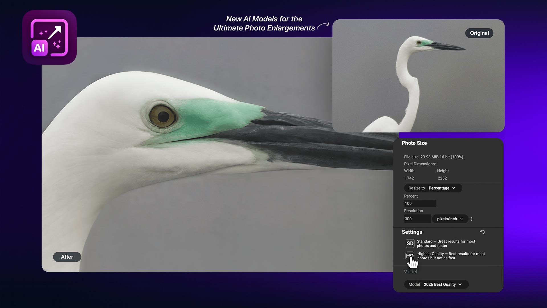 ON1 Resize AI 2026 – Phần mềm phóng to ảnh không giảm chất lượng