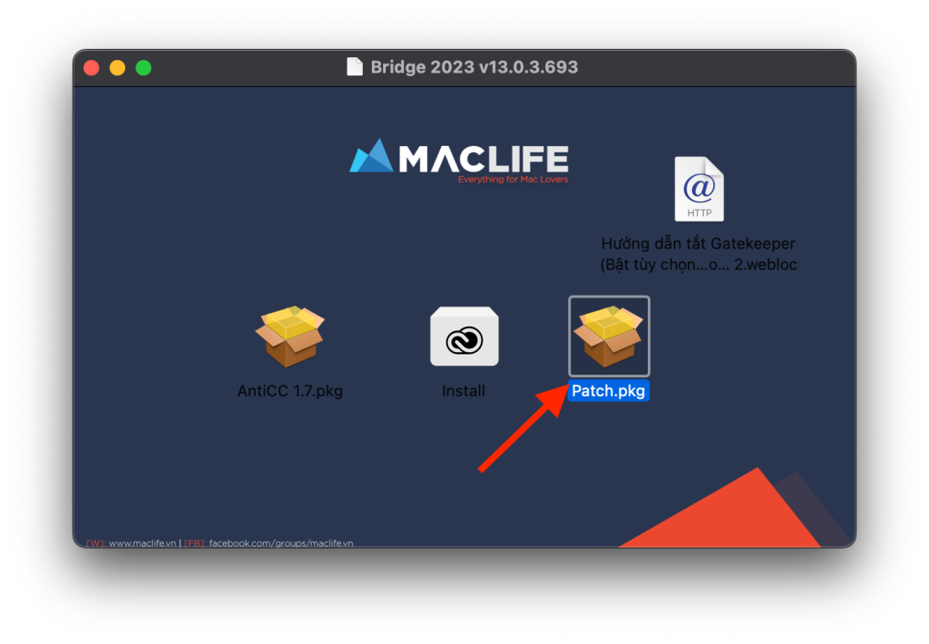 Adobe Bridge 2023 – Công cụ quản lý ảnh chuyên nghiệp