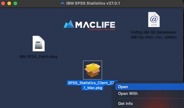 IBM SPSS Statistics 27 – Phần mềm thống kê, phân tích dữ liệu