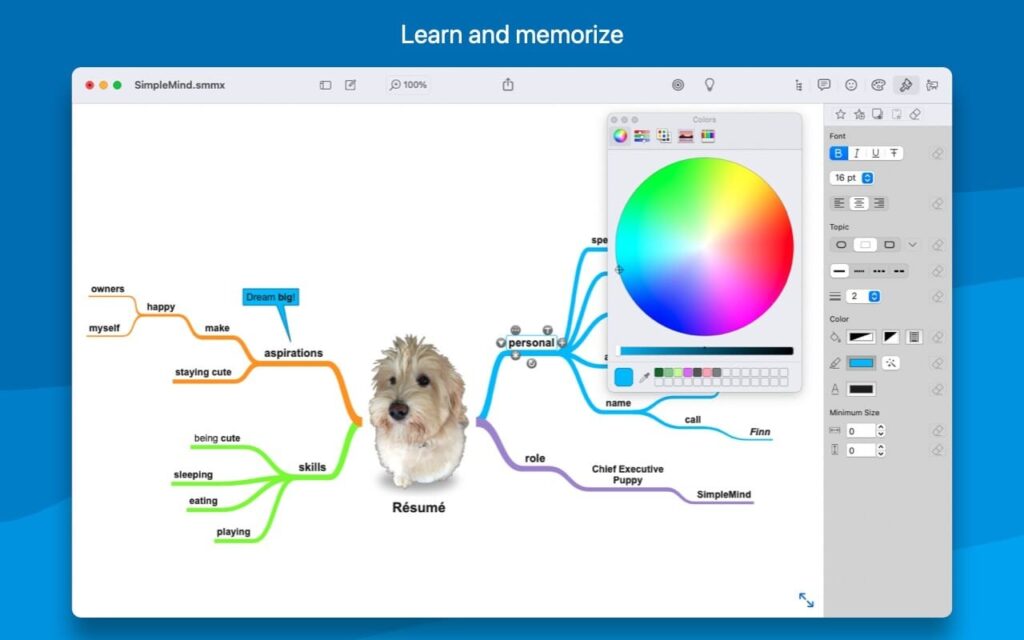 SimpleMind Pro – Phần mềm vẽ sơ đồ tư duy đơn giản