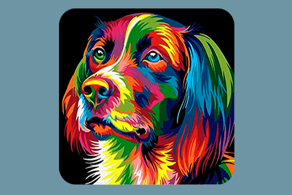 Splash n Recolor – Tạo hiệu ứng ảnh màu + đen trắng lạ mắt