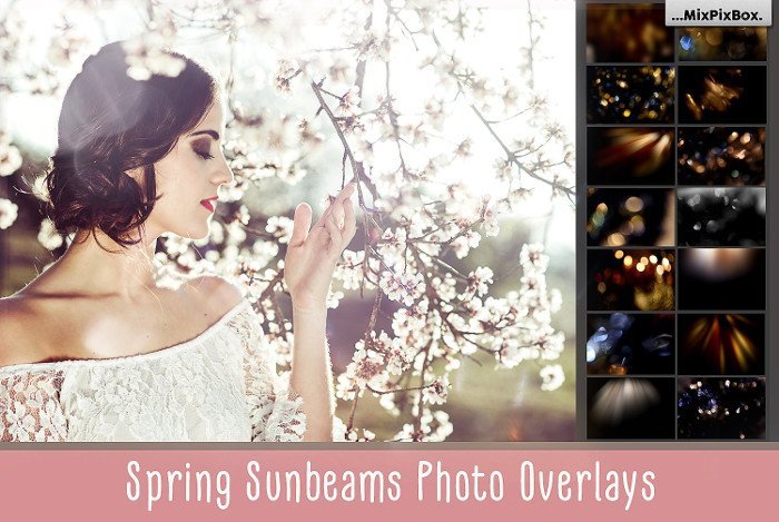 3900+ Photo Overlays – Bộ sưu tập hơn 3900 file Overlays nhiều chủ đề