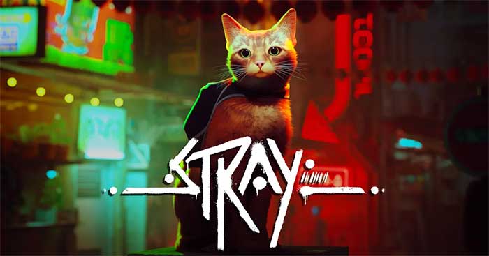 Stray – Mèo hoang phiêu lưu trong thế giới Cyberpunk