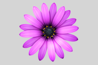 TextMate – Trình Code/markup nhiều tính năng