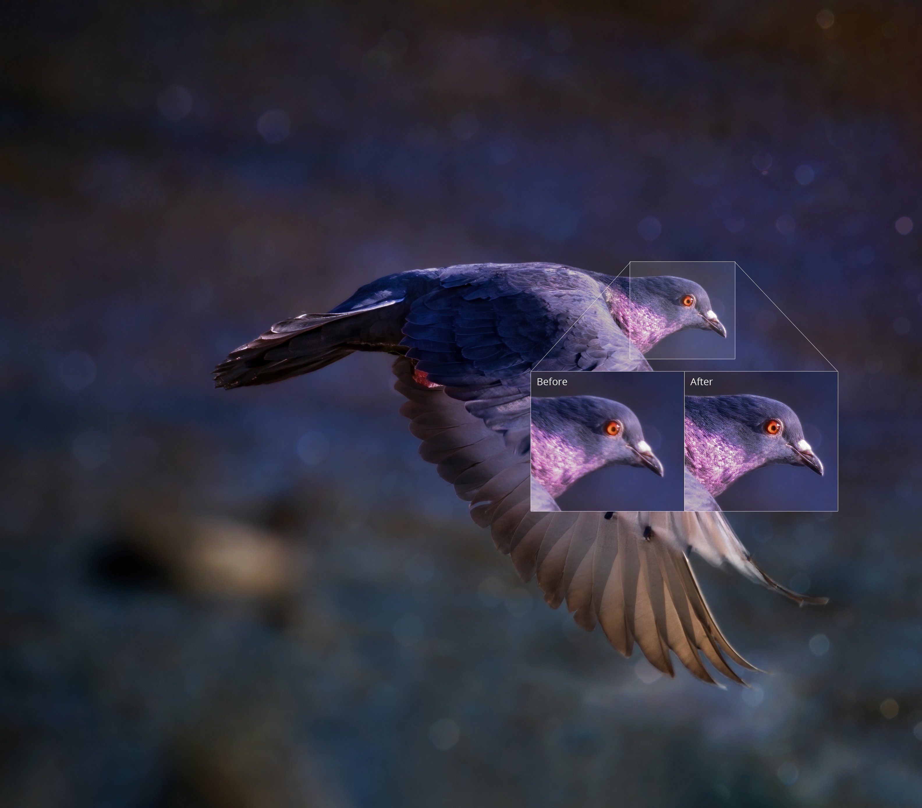 Topaz Sharpen AI – Tăng độ nét cho ảnh bằng công nghệ AI