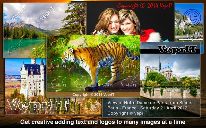 Watermark Sense – Công cụ đóng dấu ảnh hàng loạt