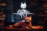 Stray – Mèo hoang phiêu lưu trong thế giới Cyberpunk