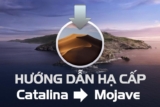Hướng dẫn hạ cấp từ Catalina 10.15 xuống Mojave 10.14 hoặc các phiên bản macOS thấp hơn