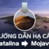 Graphic – Công cụ đồ họa Vector gọn nhẹ