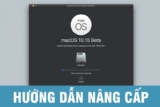 Hướng dẫn nâng cấp lên macOS 10.15 Catalina Beta