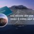 CINEPUNCH V18,19 – Transitions I Color LUTs I Pro Sound FX I 9999+ VFX Elements- Bộ tổng hợp các công cụ hỗ trợ dựng phim cực hay