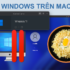 [Black Friday 2024] Windows 11 Pro còn 17.99 đô